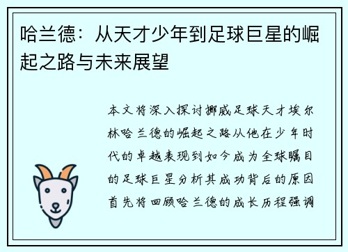 哈兰德：从天才少年到足球巨星的崛起之路与未来展望