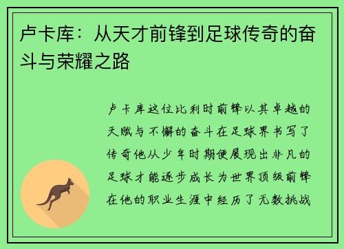 卢卡库：从天才前锋到足球传奇的奋斗与荣耀之路