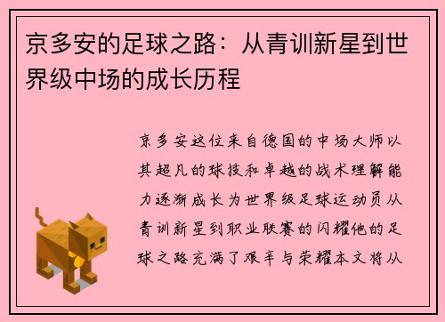 京多安的足球之路：从青训新星到世界级中场的成长历程