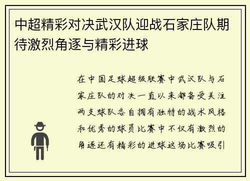 中超精彩对决武汉队迎战石家庄队期待激烈角逐与精彩进球