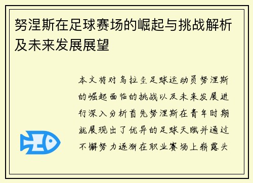 努涅斯在足球赛场的崛起与挑战解析及未来发展展望