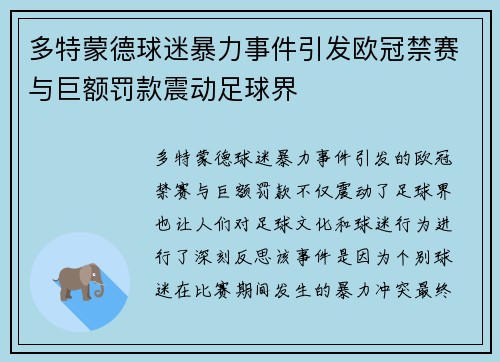 多特蒙德球迷暴力事件引发欧冠禁赛与巨额罚款震动足球界