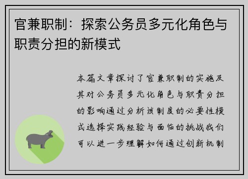 官兼职制：探索公务员多元化角色与职责分担的新模式