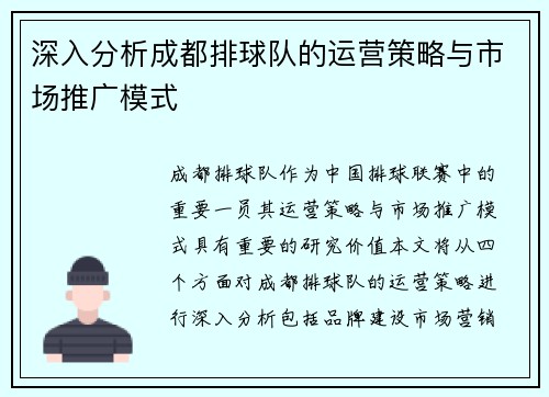 深入分析成都排球队的运营策略与市场推广模式