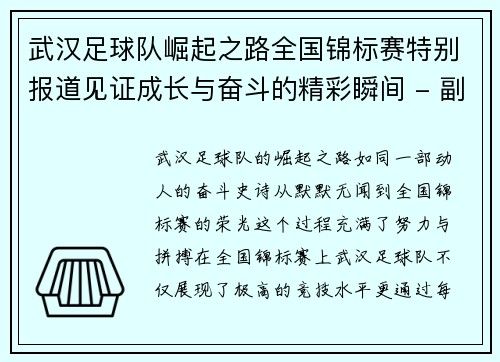 武汉足球队崛起之路全国锦标赛特别报道见证成长与奋斗的精彩瞬间 - 副本